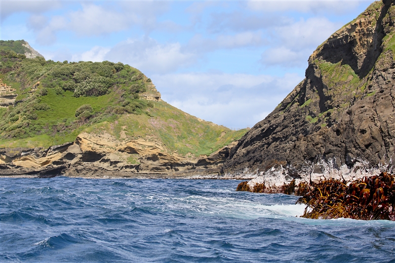 Chatham Islands 1294 m Mangere Is